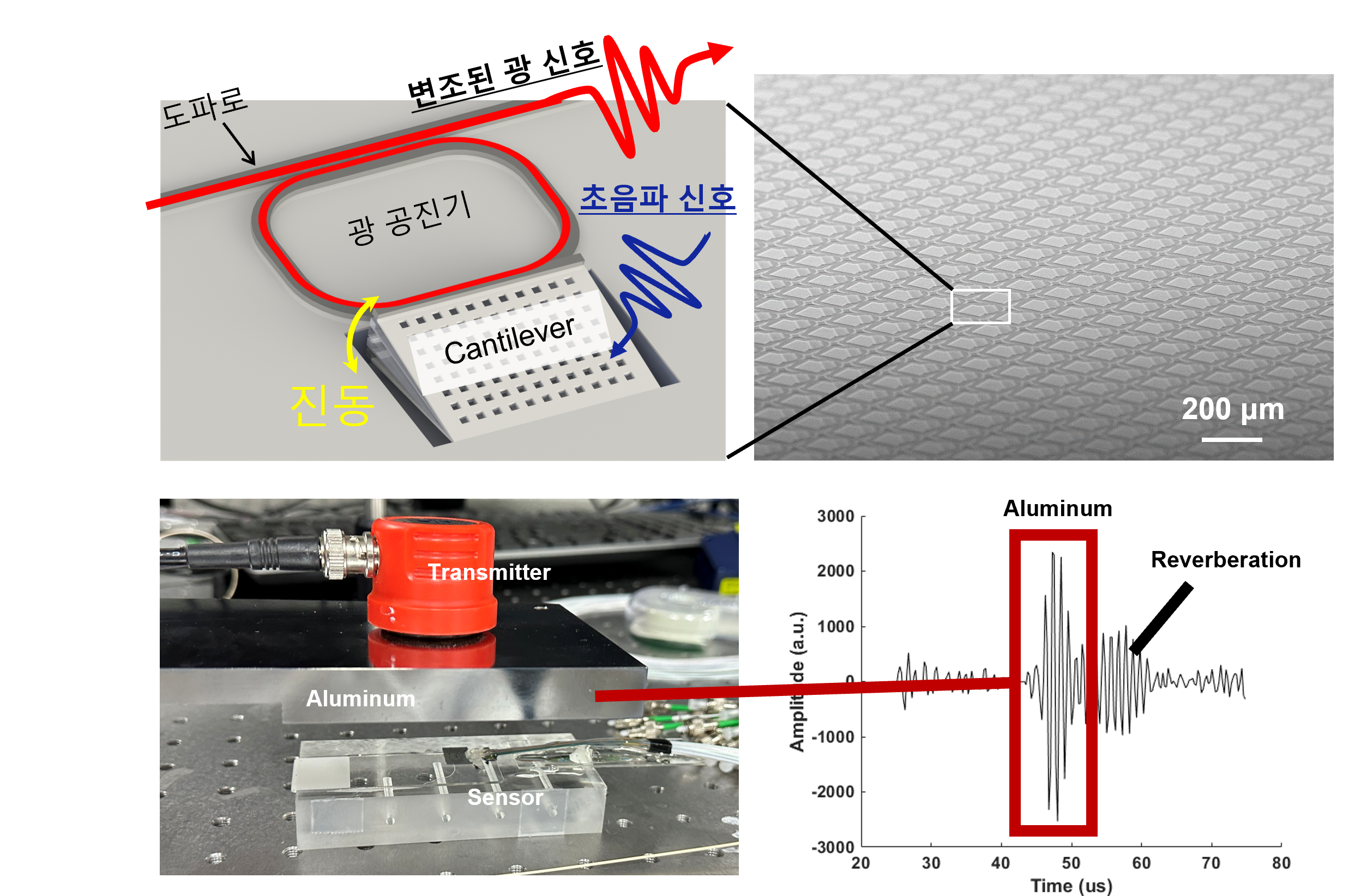 Optomechanical Ultrasound Sensor